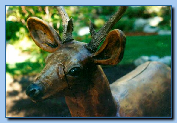 2-83a deer, buck with antlers-0001